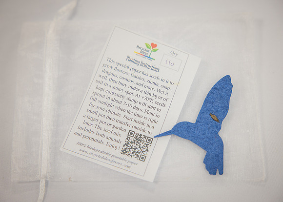 RDW-040