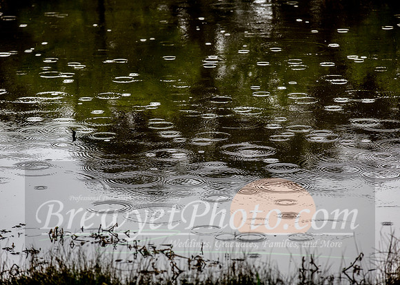 SSB-008