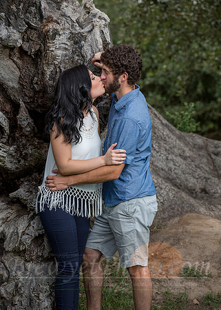 BHE-038