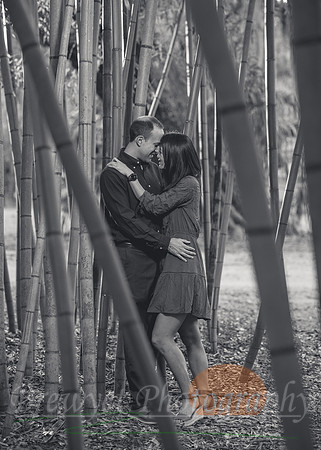 PTWE-066